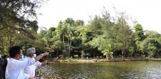 Kepala BP Batam Tinjau Taman Danau Teratai Sekupang, Taman Rusa dan Jembatan Kawasan Industri Sekupang Bp Batam