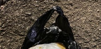 3 Tersangka Pemilik Narkotika Sabu Diamankan Ditresnarkoba Polda Kepri