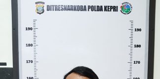 Dit Resnarkoba Polda Kepri Berhasil Mengamankan Seorang Tersangka Pemilik Narkotika Jenis Daun Ganja Polda Kepri