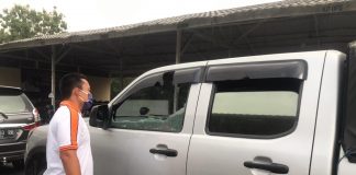 Hendak Evakuasi Orangutan, Tim BKSDA Diserang Sejumlah Warga