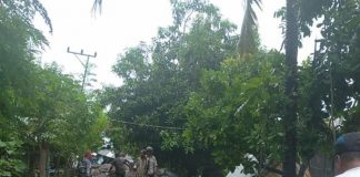 Flores Timur Banjir Bandang, 23 Orang Meninggal