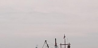 Kapal Ikan Asing yang Ditangkap KKP di 2023 Terbanyak dari Malaysia