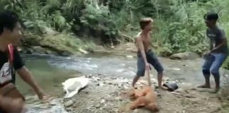 Sudah Direkonstruksi di Hadapan Kepala Nagari, 4 Penyiksa Satwa Langka di Sumbar Ditangkap