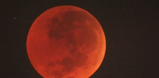 Jangan Lupa Malam Ini Gerhana Bulan Total