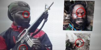 Komandan di Pasukan KKB Papua Ditembak Mati