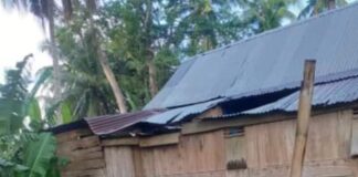 Angin Tumbangkan Pohon Kapuk hingga Timpa Rumah Warga