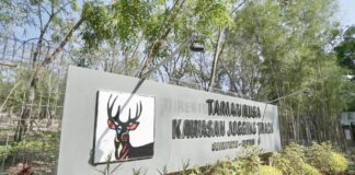 BP Batam Bangun Kolam Ikan di Taman Rusa Sekupang