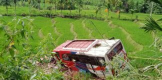Sopir Bus yang Terjun ke Sawah di Pasaman Ditahan Polisi