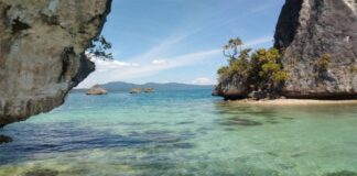 Jembatan untuk Selfie di Raja Ampat Ambruk, 5 Wisatawan Terluka