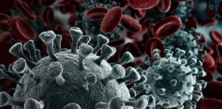 Terungkap, Ilmuwan Menemukan Gerbang Masuknya Virus Corona ke Sel Manusia