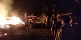 Gudang Penyimpanan Papan Kayu Jati Terbakar, Kerugian Mencapai Rp 100 Juta