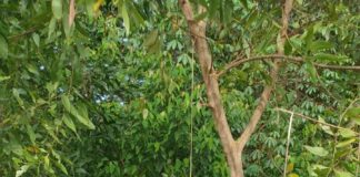 Heboh, Seorang Pria Gantung Diri di Bengkong