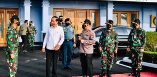 Jokowi Akan Tanam Mangrove Bersama Masyarakat di Riau dan Kepri