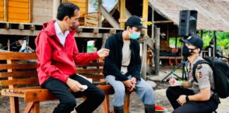 Jokowi Dukung Semangat Pemuda Pegiat Mangrove Kembangkan Potensi Ekspor Bengkalis