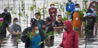 Kunker ke Batam, Presiden RI Joko Widodo Tanam 49.500 Mangrove di Setokok