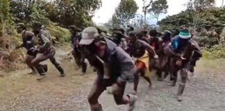 TNI Tangkap 2 Anggota KKB dan 5 Pucuk Senjata