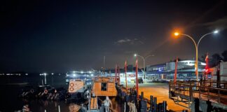 Sebanyak 18.991 Batang Kayu Hasil Jarahan Mafia Bakau Berhasil Diamankan Polisi