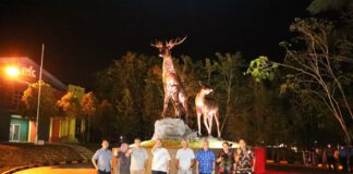 Wakil Kepala BP Batam “Test Commissioning” Taman Rusa