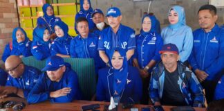 Dipilih DPP, Asnah: Saatnya Kita Kembalikan Kejayaan Demokrat di Kepri