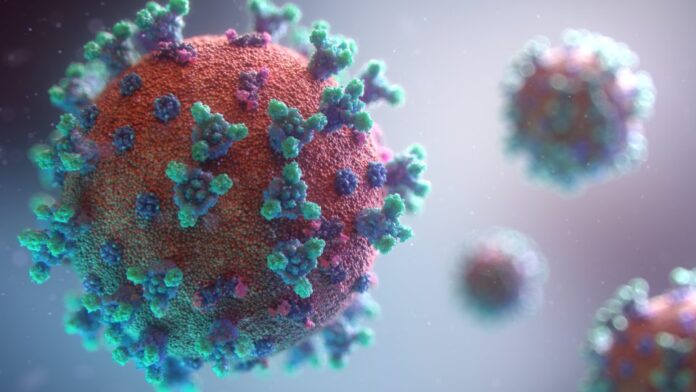 new-visualisation-of-the-covid-19-virus-stockpack-unsplash-960x540