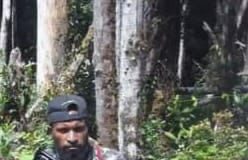 Melawan saat Ditangkap, Satgas Damai Cartenz Tembak Mati Pimpinan KKB Ndeotadi Toni Tabuni