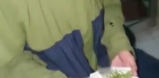 Viral! Beli Ganja Malah Dikasih Rumput, Pria Ini Lapor Polisi