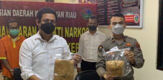 Ungkap 2 Kasus Narkoba, Polda Kepri Musnahkan 2,1 Kilogram Ganja