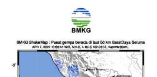 Seluma Bengkulu di Guncang Gempa 4,8 SR, Pusat Gempa Berada di Laut