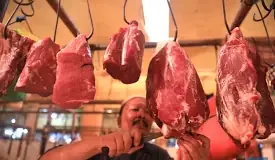 Harga Hewan Kurban Diprediksi Naik Imbas Virus PMK