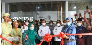 Gubernur Kepri Lepas Pelayaran Perdana Karimun-Malaysia