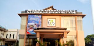 SKIPM Batam Berencana Kelola Wilayah Kerja di Pelabuhan Umum