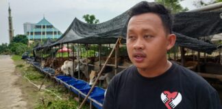 Batam Pasok 550 Ekor Sapi dari Kupang untuk Penuhi Kebutuhan Idul Adha 1444 H