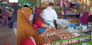 Harga Telur Ayam Capai Rp53 Ribu per Papan, Ini Penjelasan Disperindag Batam