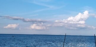 Indikasi Cuaca Panas, Ini Pesan Kementerian Kesehatan