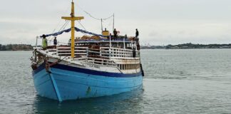 320 Ekor Sapi Kurban dari Lampung Tiba di Batam