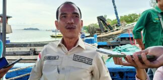 Pemko Batam Pastikan Ratusan Kambing Mati Bukan Terpapar PMK