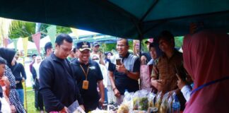 HUT Pekanbaru Ke 238, Kecamatan Tenayan Raya Gelar Bazar UMKM Di Taman Wisata Alam Mayang