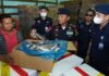 KKP Sita 4,74 Ton Ikan Impor Ilegal di Batam