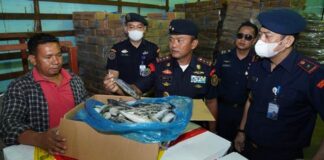 KKP Sita 4,74 Ton Ikan Impor Ilegal di Batam