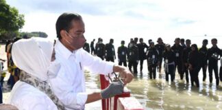 Jokowi: Terumbu Karang Aset Besar Wakatobi, Harus Dijaga Jangan Sampai Rusak
