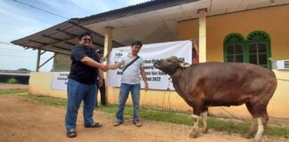 TJK Power Bagikan 6 Ekor Hewan Kurban untuk Masjid Sekitar Telagapunggur