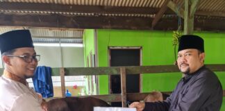 Gubernur Ansar Ahmad Bagi Sapi Qurban di Batam Mukhti Stafsus Gubernur Kepri Serahkan Sapi Qurban Yang di Terima Oleh Ustadz Bakhtiar. (Ft. AlurNews.com)