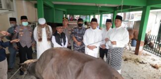 Membawa Amanah Presiden, Ansar Serahkan Sapi Qurban untuk Gerbang Utara Perbatasan NKRI