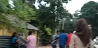 Seorang Pelajar SMAN 15 Batam Meninggal Dunia Tertimpa Pohon Kelapa