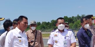 Wamen LHK Janji Segera Proses PengajuanAlih Fungsi Hutan Lindung untuk Bandara RHA Karimun