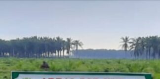 Somasi Ke 2 Untuk KUD Mandiri Mojopahit Jaya, Freedy: Jika Tidak Diindahkan Kami Akan Tempuh Jalur Hukum