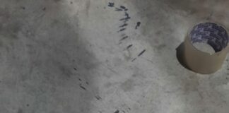 Anjing Pelacak Bea Cukai Batam Gagalkan Penyelundupan Paket Sabu ke Lombok