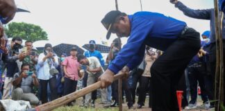 Tanam 12 Ribu Pohon Jati Emas, RudiHarapkan Batam Green 2022