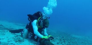 Perairan Batam Lokasi Favorit Penggelaran Kabel Bawah Laut