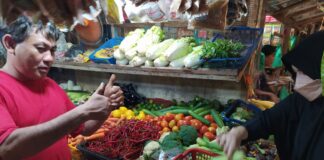 Update Harga Bahan Pokok di Batam Pasca Kenaikan BBM